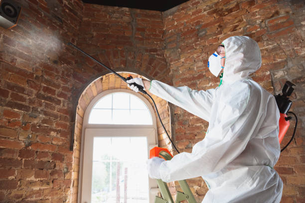 Best Commercial Mold Inspection  in Elwood, IL